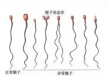 e48ed702016897c33a0e2f8a6bf7af3a.jpg